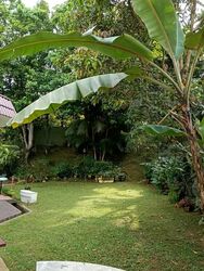 Woodlands Park (D25), Semi-Detached #536442951